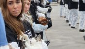 Protestan en Viena con 650 animales muertos contra la explotación animal