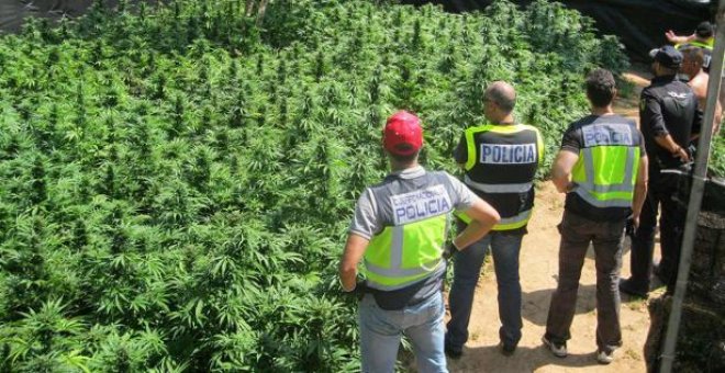 Las comunidades presionan al Gobierno para regular el uso del cannabis