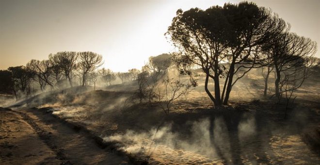 La factura del incendio de Doñana: tres millones de euros en 48 horas