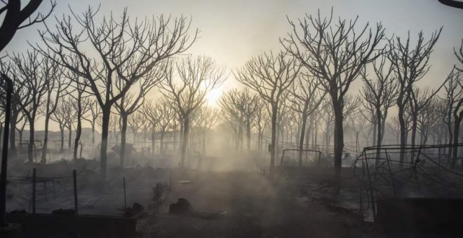 Una negligencia en una carbonería, posible causa del incendio de Doñana