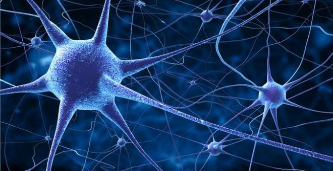 Identifican un circuito cerebral que podría señalar el riesgo a desarrollar Alzheimer