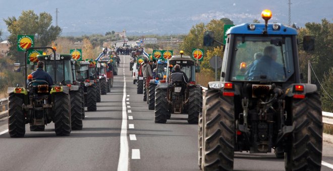 La UE fabrica zumo para ONG con 30.000 toneladas de fruta española que Rusia veta