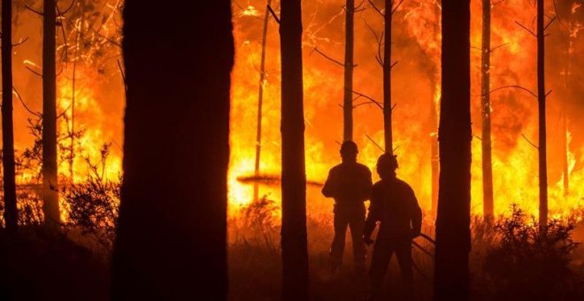 Al menos 38 muertos en los incendios forestales que afectan a Portugal