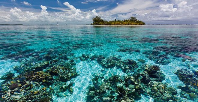 Así se restauran los arrecifes de coral dañados por ciclones: pieza a pieza