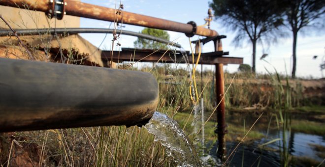 Situación “catastrófica” para el agua de Doñana