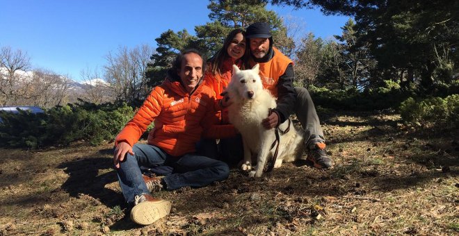 Cárcel y multa de 10.925 euros para un cazador que maltrató a 55 perros