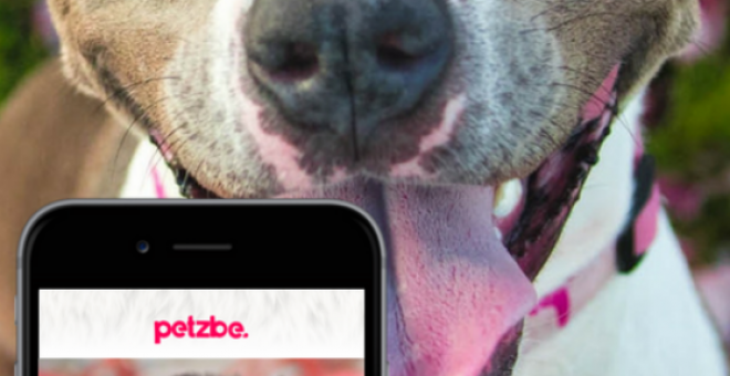 El 'instagram' para mascotas que no admite a humanos