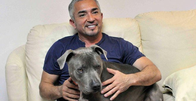 Los perros de César Millán evitan el saqueo de su vivienda