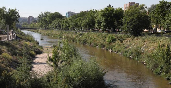 Cientos de aves y peces vuelven al centro de Madrid para vivir en el nuevo Manzanares