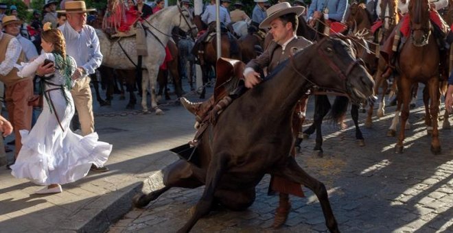 Mueren nueve caballos y un buey durante la romería del Rocío de 2018