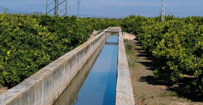 Medio Ambiente detecta más de 7.000 riegos clandestinos