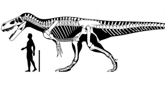 Hallan en Asturias restos de los dinosaurios carnívoros más grandes de Europa