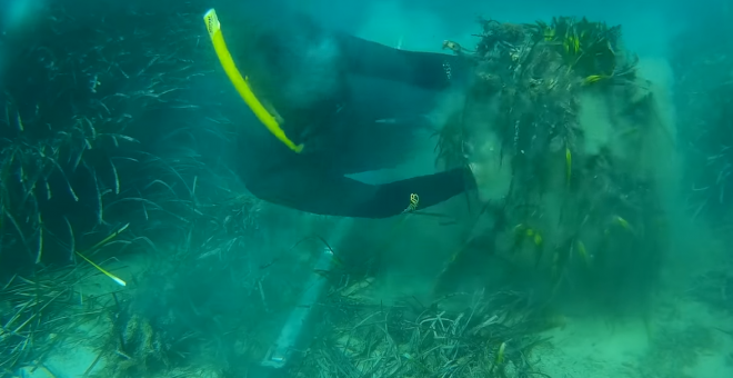 Así destruye un gran yate de lujo una pradera de posidonia en Mallorca