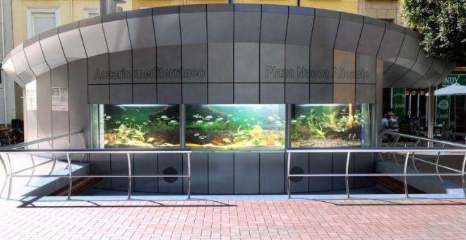 Alicante cierra su acuario municipal tras la muerte en masa de sus peces