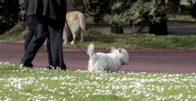 El Ayuntamiento de Girona prohíbe el acceso de perros en varias plazas de la ciudad