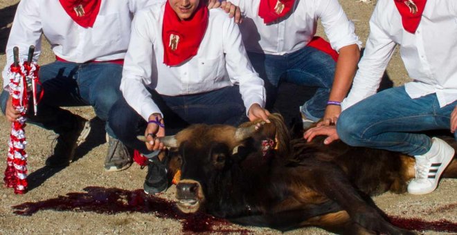 Los animalistas denuncian una "terrible tortura a becerros" y convocan una gran manifestación en Madrid para el día 15