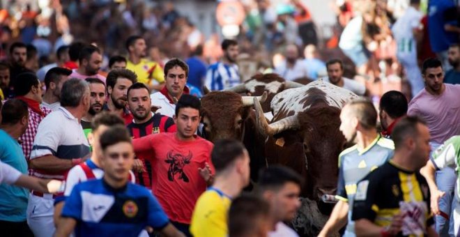 Más de 122.500 personas reclaman la suspensión de las becerradas en San Sebastián de los Reyes (Madrid)