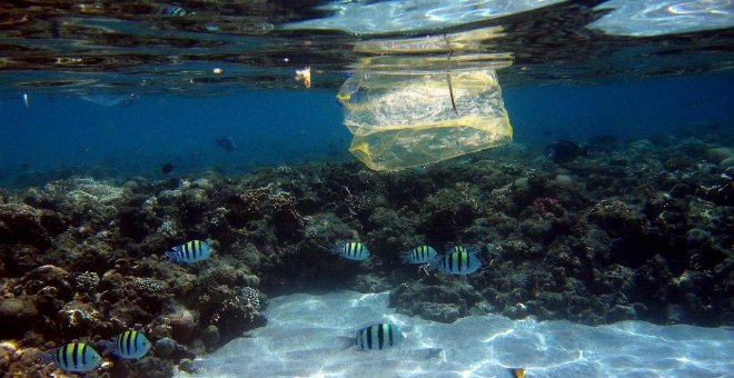 La cumbre medioambiental logra el primer acuerdo mundial sobre el plástico y la contaminación marina