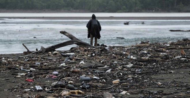 Las temperaturas ya provocan cambios drásticos en ecosistemas marinos