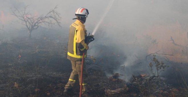 La regeneración del terreno calcinado por el incendio de Cadalso tardará entre 15 y 20 años