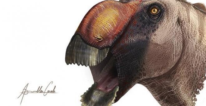 Identificada una extraña nueva especie de dinosaurio ‘pico de pato’