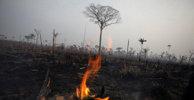La Amazonia brasileña alcanza su mayor nivel de deforestación en una década