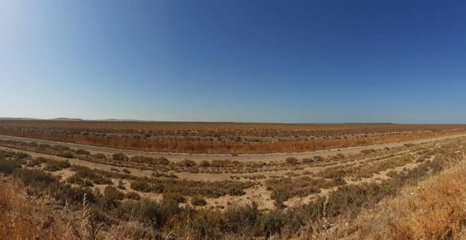 Ecologistas y organizaciones de izquierda rechazan un macroproyecto turístico en el bastión de IU en Cádiz