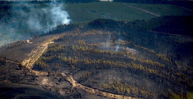 Estabilizado el incendio de A Gudiña (Ourense) tras quemar 440 hectáreas