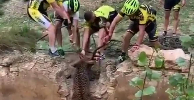 Un grupo de ciclistas rescata a un ciervo atrapado por las inundaciones provocadas por la gota fría