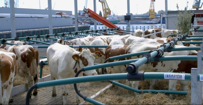 La primera granja flotante del mundo: un parche al problema de la contaminación