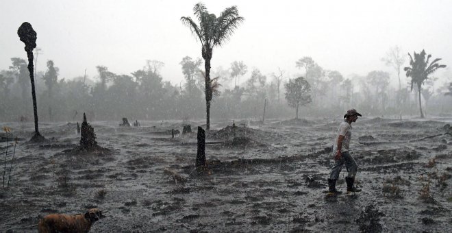 Lo que se esconde tras los incendios de la Amazonia: es el mercado, amigo