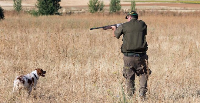 Los desmanes de la caza en España: maltrato de perros, masacre de especies protegidas y heridos de bala