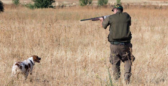 La Guardia Civil investiga a dos cazadores por disparar a tres perros en Murcia