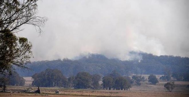 Más de 70 incendios forestales siguen activos en Australia y causan tres muertos