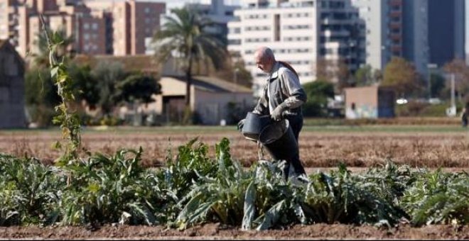 La ONU reconoce a la huerta de València como patrimonio agrícola mundial