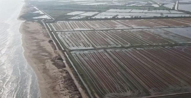 “Si comencem a actuar ja, podem mantenir gran part del Delta de l’Ebre en bon estat”