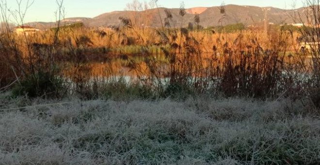 Front ampli de moviments per protegir el Delta de Llobregat