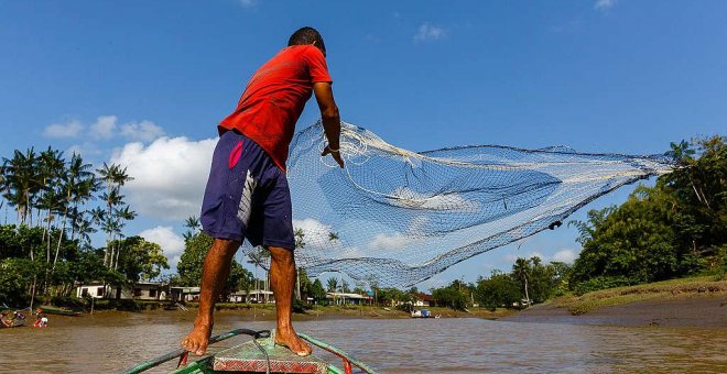 Transporte por energía solar, ríos resucitados y otras formas de salvar la Amazonia