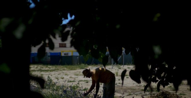 Plantar verduras en la ciudad: la revolución de los barrios se hace en un bancal