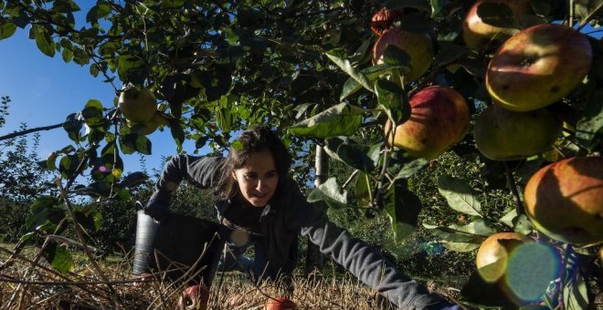 Supermercado sí, huerto no. El autoconsumo se reivindica durante la pandemia