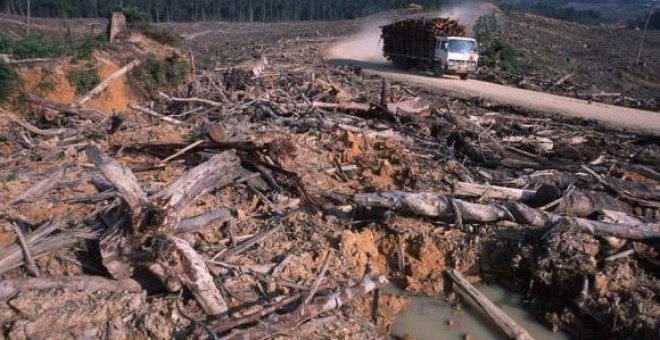 La Tierra sobrepasa este sábado su capacidad natural de regenerar sus recursos en un año