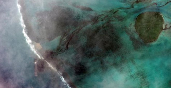 Hallan 25 delfines muertos en Mauricio tras el derrame de petróleo