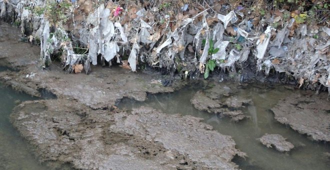 Los vertidos de aguas fecales dejan el río Jarama contaminado por miles de toallitas