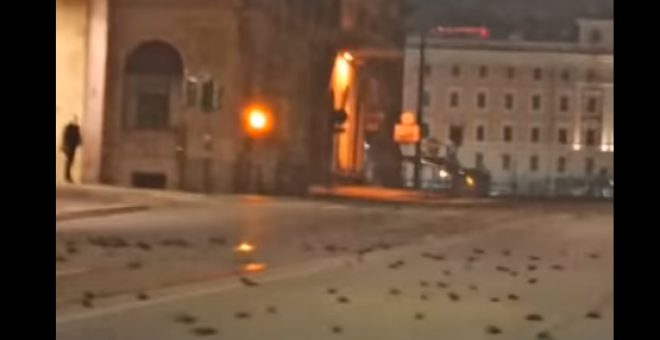 Cientos de pájaros mueren en Roma tras los fuegos artificiales de Año Nuevo
