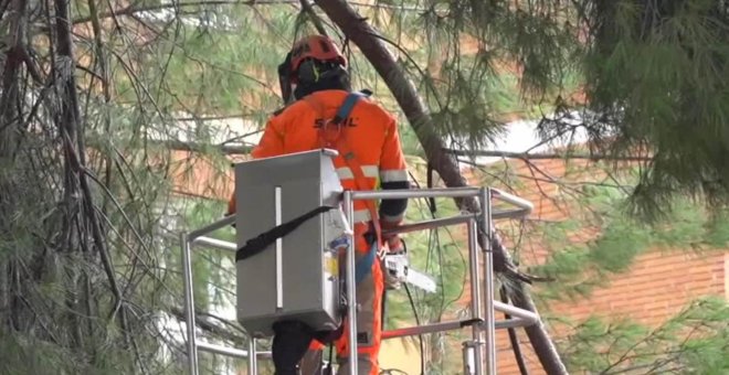 La Comunidad de Madrid empleará fondos del PIR para reparar daños causados por 'Filomena'