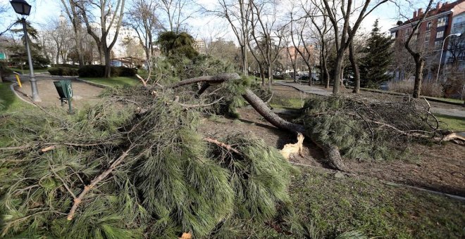 La borrasca Ignacio impacta con rachas superiores a 100 km/h e intenso oleaje