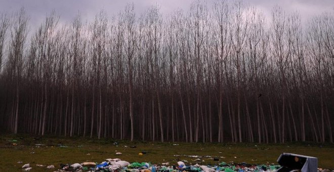 Una alianza ecologista denuncia a España ante Europa por incumplir los objetivos de gestión de residuos