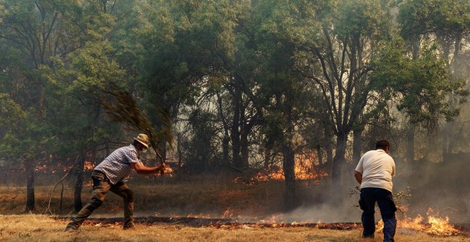 Los incendios arrasan 74.260 hectáreas en lo que va de año, el quinto peor dato de la historia
