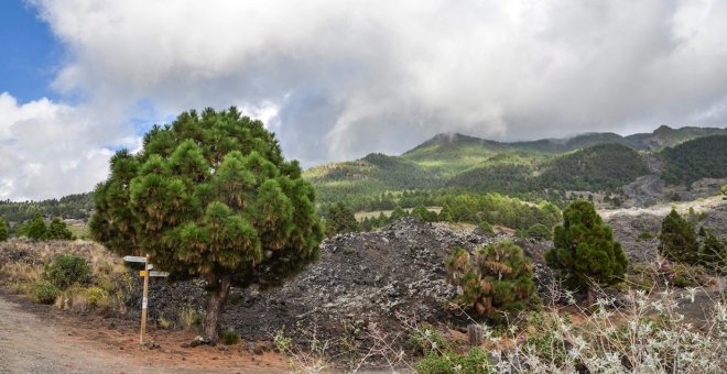 La serie sísmica de La Palma acumula ya más de 20.650 terremotos en siete días