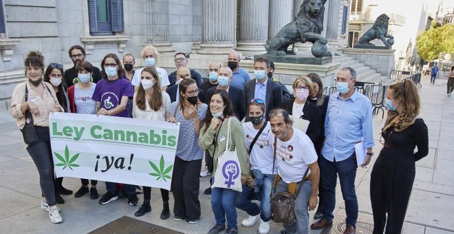 La legislatura con un Gobierno progresista se ve abocada a regular sólo el uso medicinal del cannabis